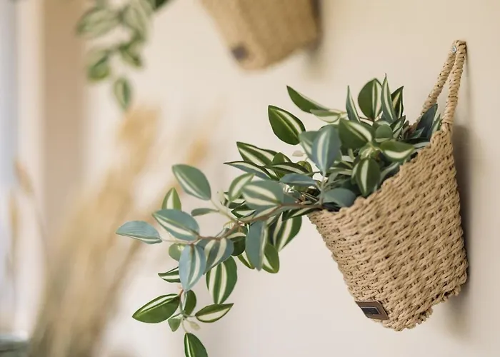 Tatil Evi Pretty Spiti Retreat *