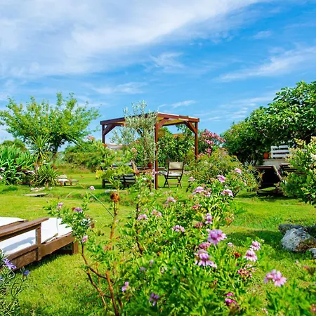 Pretty Spiti Retreat بيت للعطل لاغاناس